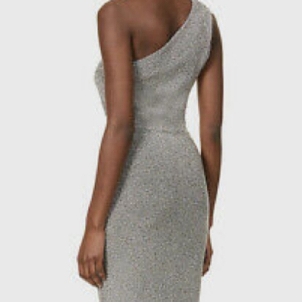 a-NWT REISS | Lordes Metallic Dress - Picture 8 of 11